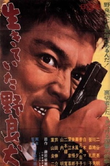 Hotbed of Crime Trailer