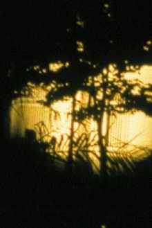 Hôtel Turkoman Trailer
