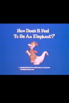 How Does It Feel to Be an Elephant? Trailer