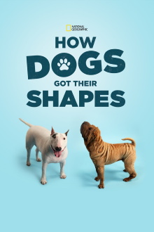 How Dogs Got Their Shapes Trailer