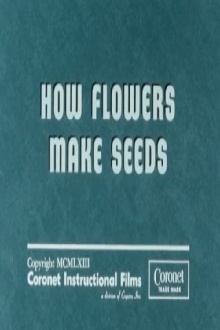 How Flowers Make Seeds Trailer