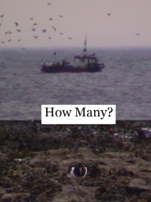How Many? Trailer