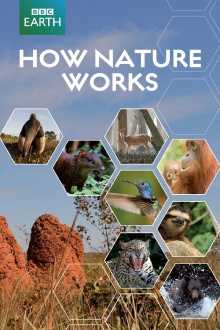 How Nature Works Trailer