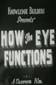 How the Eye Functions Trailer