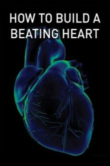 How to Build a Beating Heart Trailer