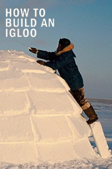 How to Build an Igloo Trailer