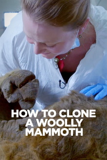 How To Clone A Woolly Mammoth Trailer