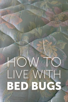 How to Live with Bed Bugs Trailer