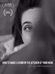 How to Make a Bomb in the Kitchen of Your Mom Trailer