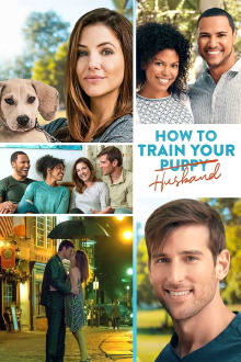 How to Train Your Husband Trailer