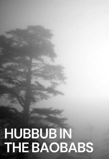 Hub-bub in the Baobabs Trailer