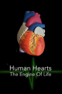 Human Hearts: The Engine of Life Trailer