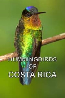 Hummingbirds of Costa Rica Trailer