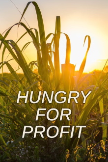Hungry for Profit Trailer