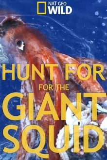 Hunt For The Giant Squid Trailer
