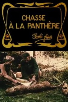 Hunting the Panther Trailer