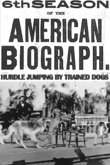 Hurdle Jumping; by Trained Dogs Trailer