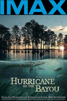Hurricane on the Bayou Trailer