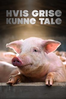 Hvis grise kunne tale Trailer