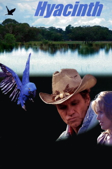 Hyacinth Trailer