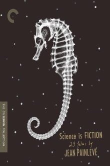 Hyas and Stenorhynchus Trailer