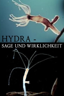Hydra - Legend and Reality Trailer