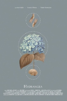 Hydrangea Trailer
