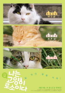 I am a Cat Trailer