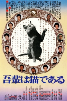 I Am a Cat Trailer