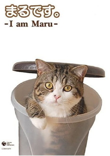 I Am Maru Trailer