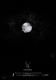 I Call It Home Trailer