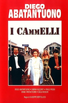 I cammelli Trailer