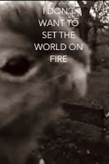 I Don't Want To Set The World On Fire Trailer