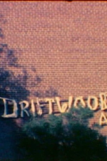 I Dream of Driftwood Trailer