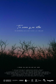 I dream you and you are not here Trailer