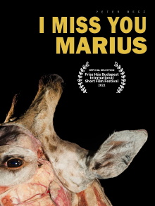 I Miss You, Marius Trailer