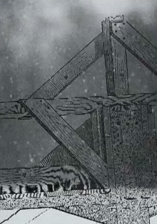 I Open the Window Trailer