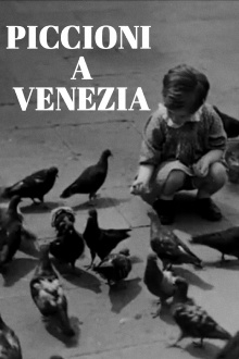 I piccioni di Venezia Trailer