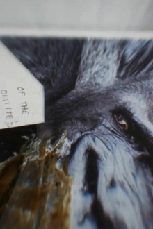 I Remember (depth of flatten cruelty) Trailer