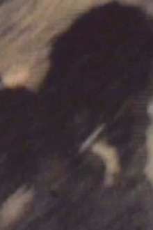 I Saw the Shadow Trailer
