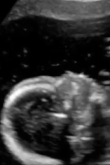 I Was Born In 1988 Trailer