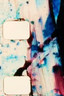 i.a.n.m.s.a.m. Trailer