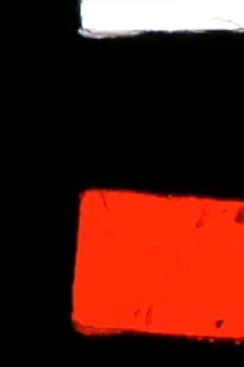 IBMondrian Trailer