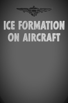 Ice Formation on Aircraft Trailer