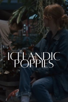 Icelandic Poppies Trailer