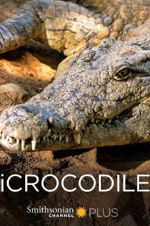 iCrocodile Trailer