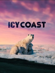 Icy Coasts Trailer