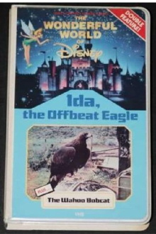 Ida, the Offbeat Eagle Trailer