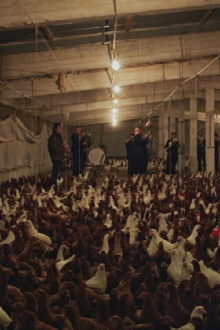 If I Ever Get A Monument Chickens Will Do It For Me (Requiem#3) Trailer