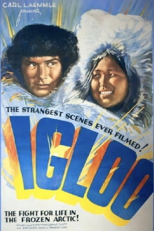 Igloo Trailer